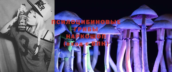 первитин Бородино