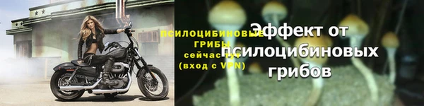 первитин Бородино