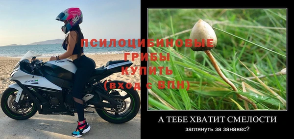 шишки Бугульма