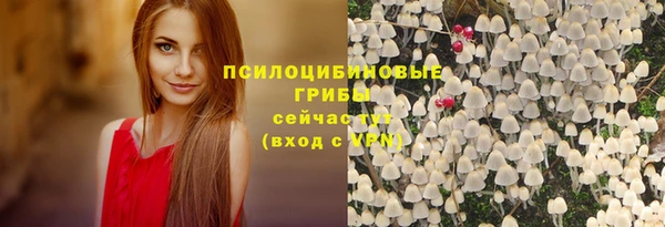 герыч Бронницы