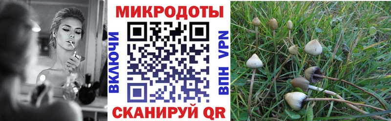 Галлюциногенные грибы Magic Shrooms  Туймазы 